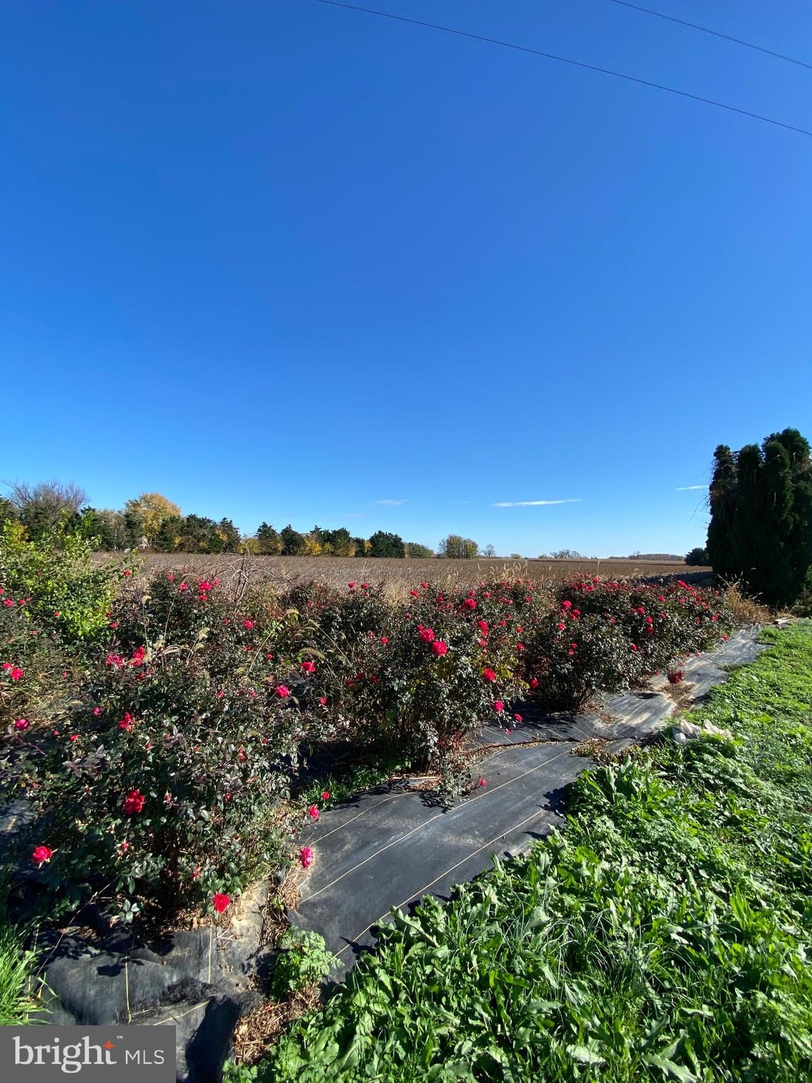 Augustine Herman Hwy