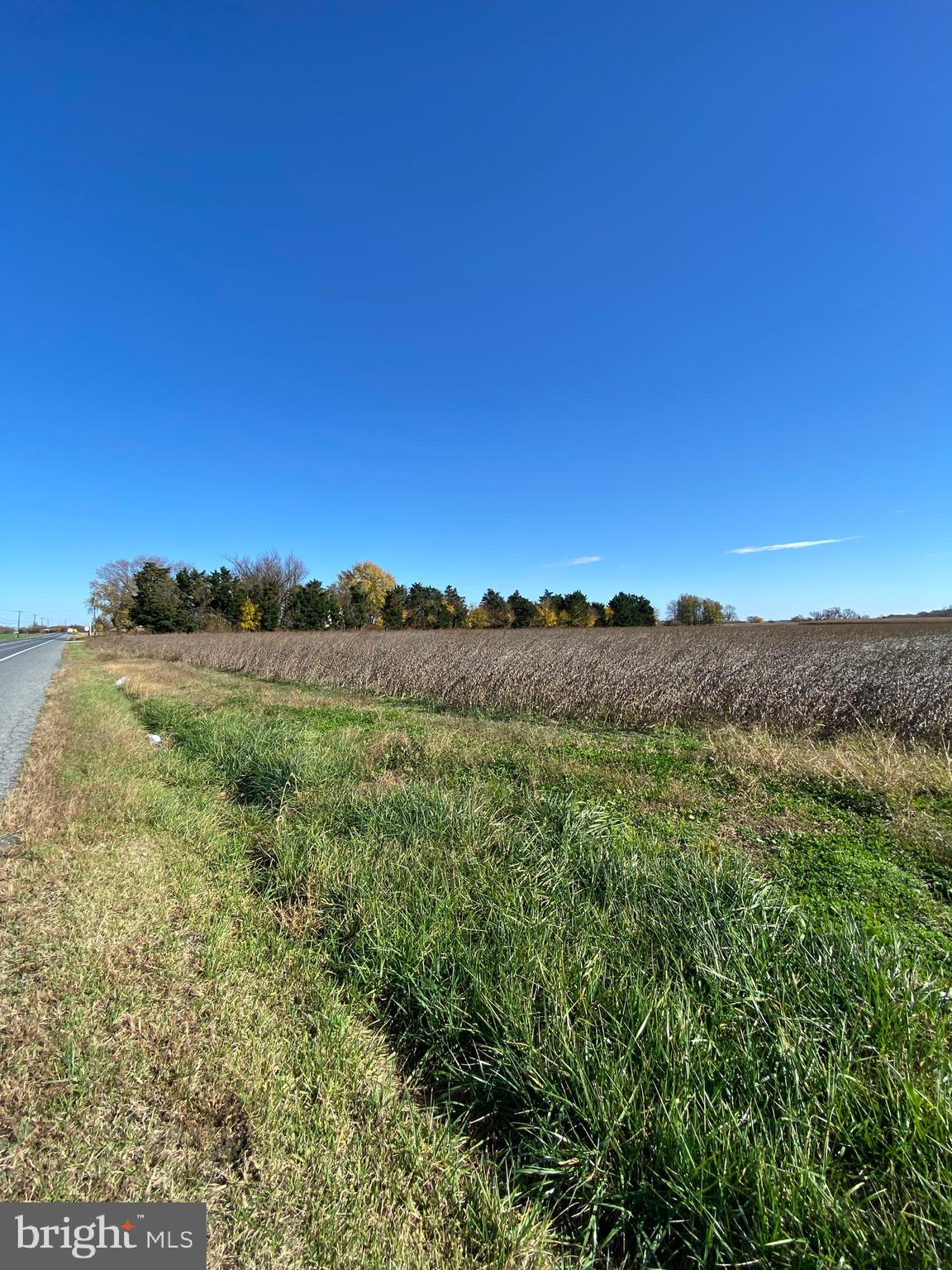 Augustine Herman Hwy