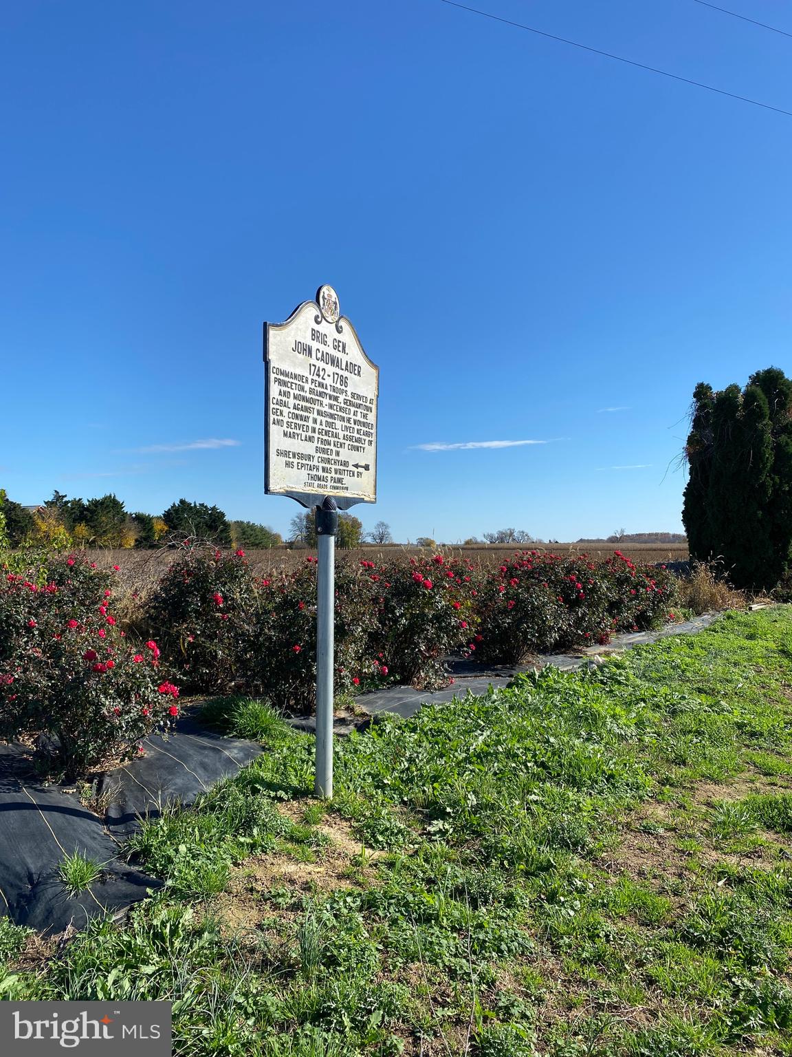 Augustine Herman Hwy