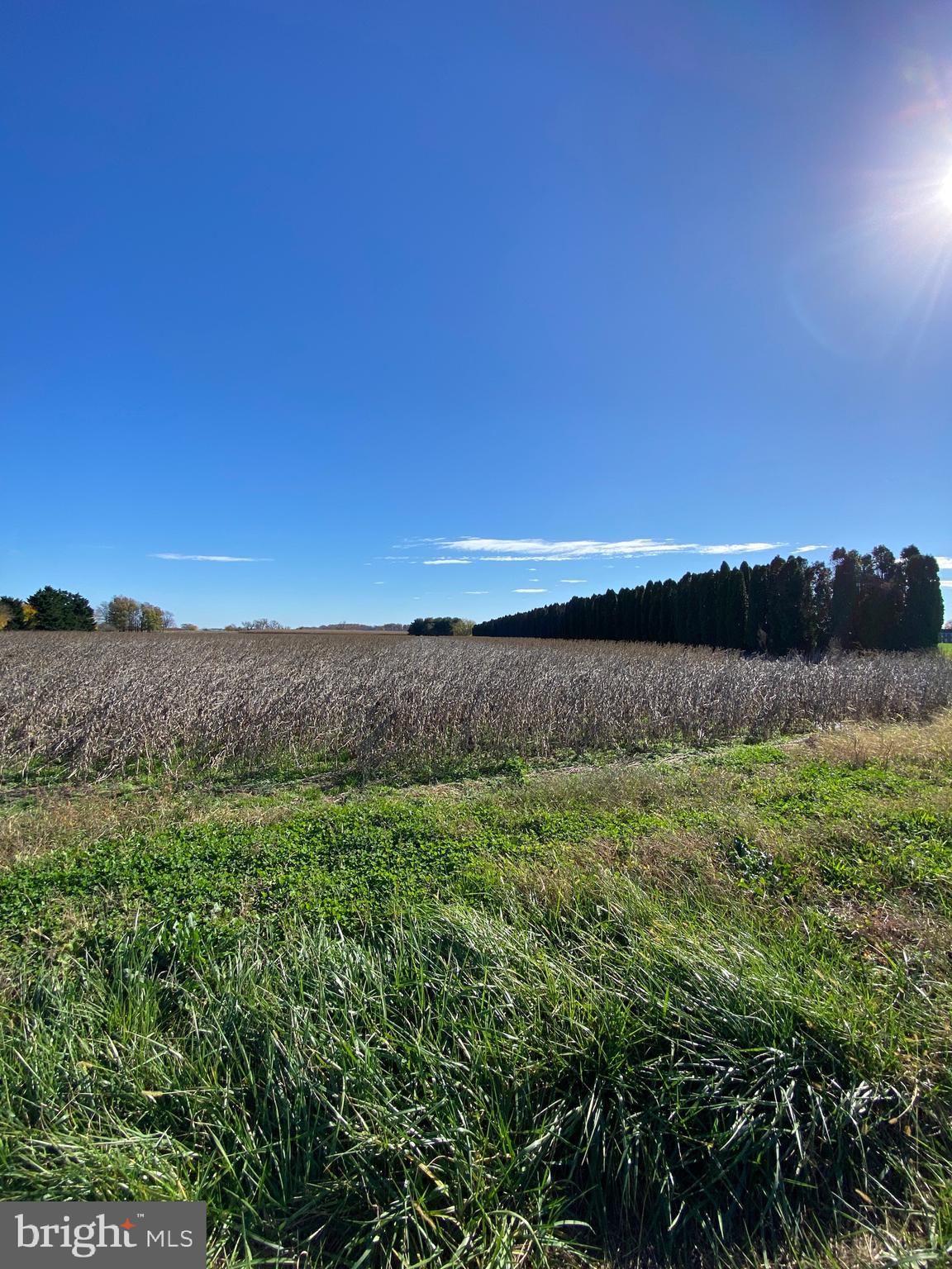 Augustine Herman Hwy