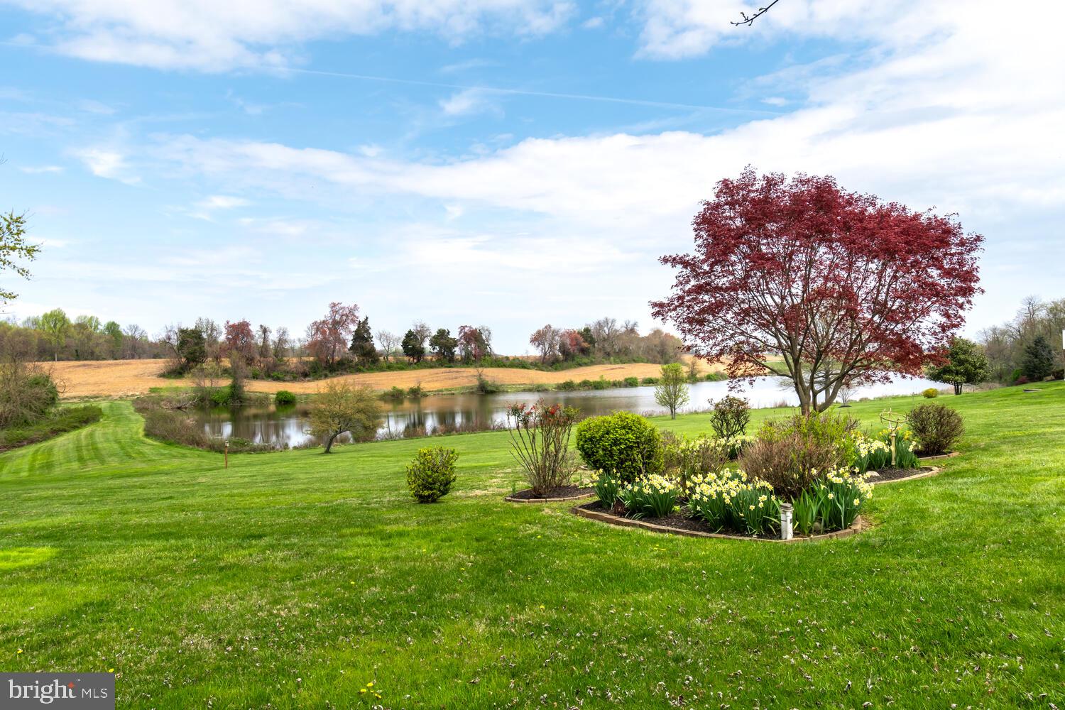207 Pondview Ct