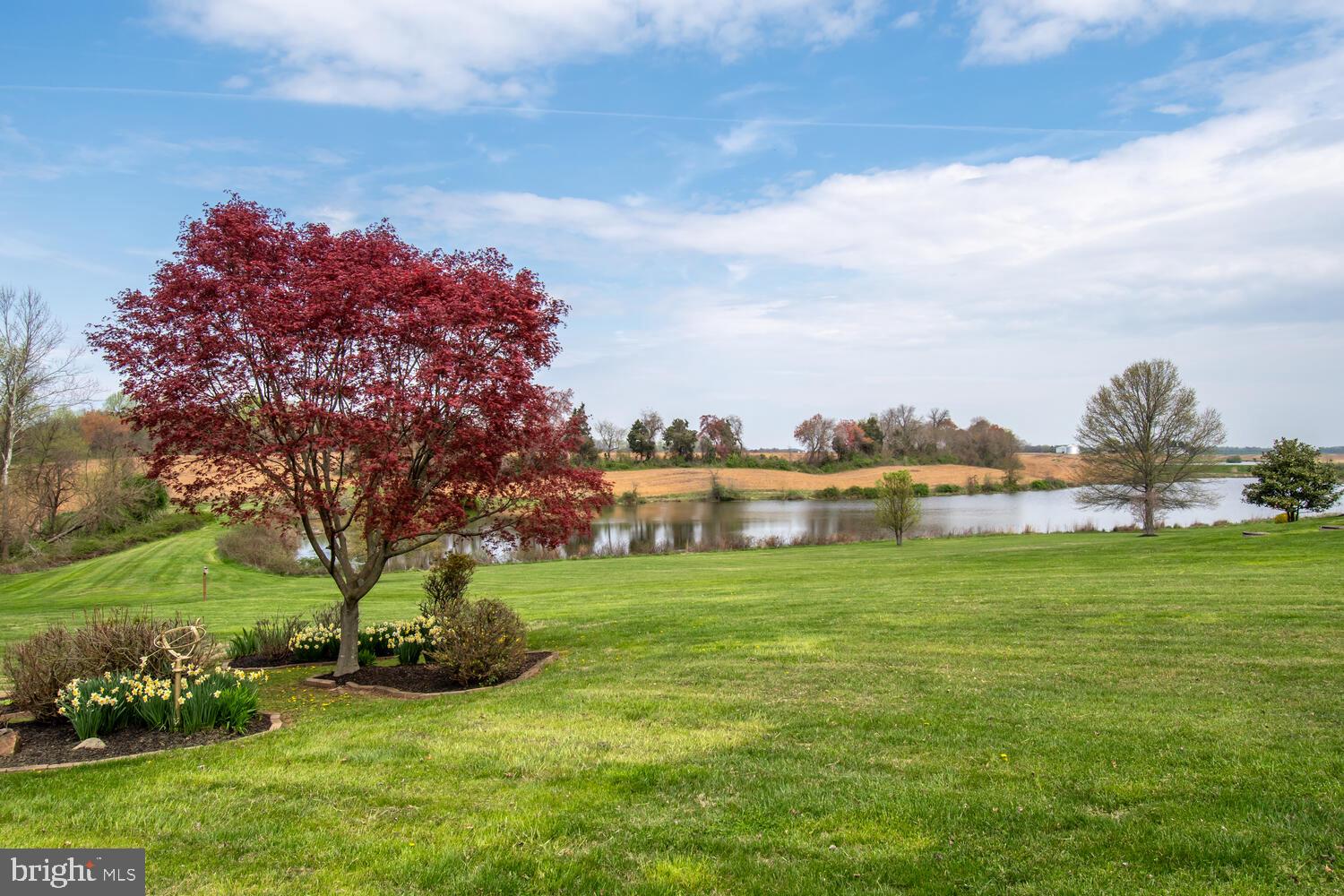 207 Pondview Ct