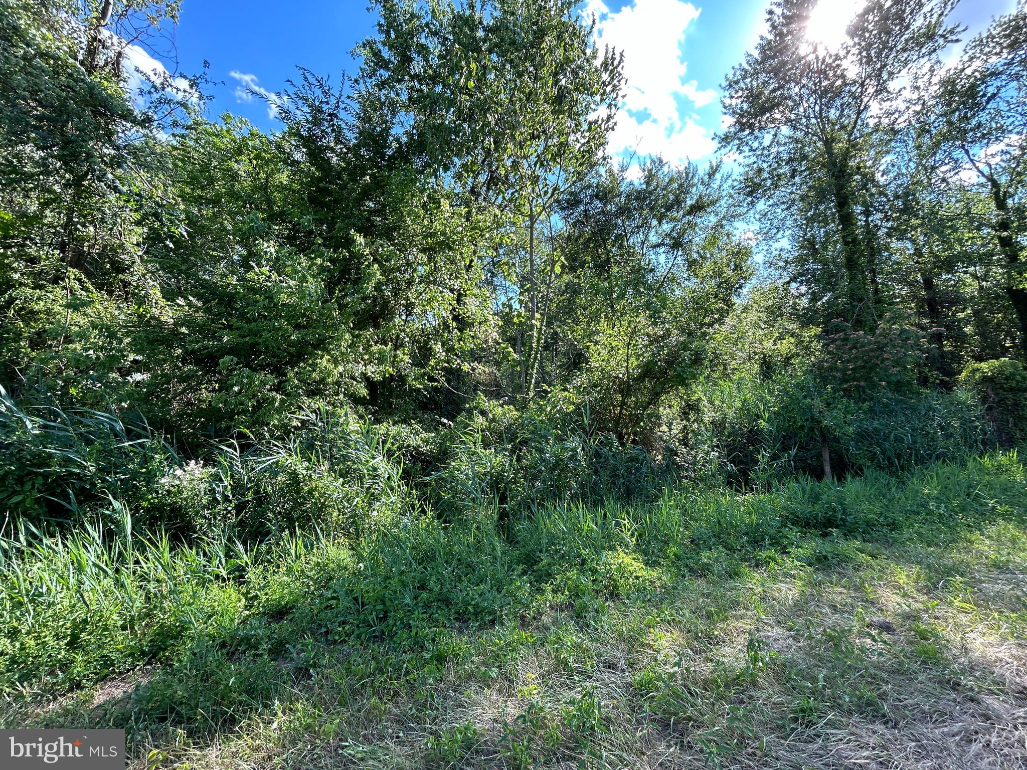 Medders Rd