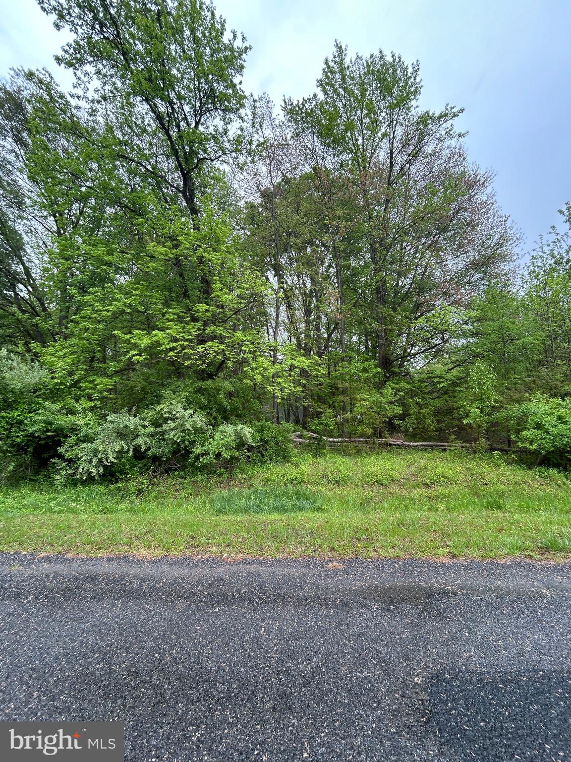 Kinglet Rd