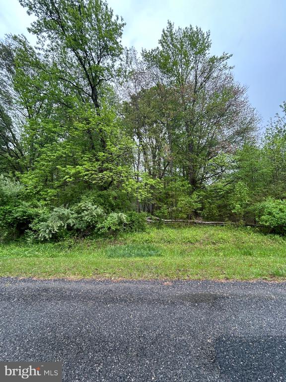 Kinglet Rd