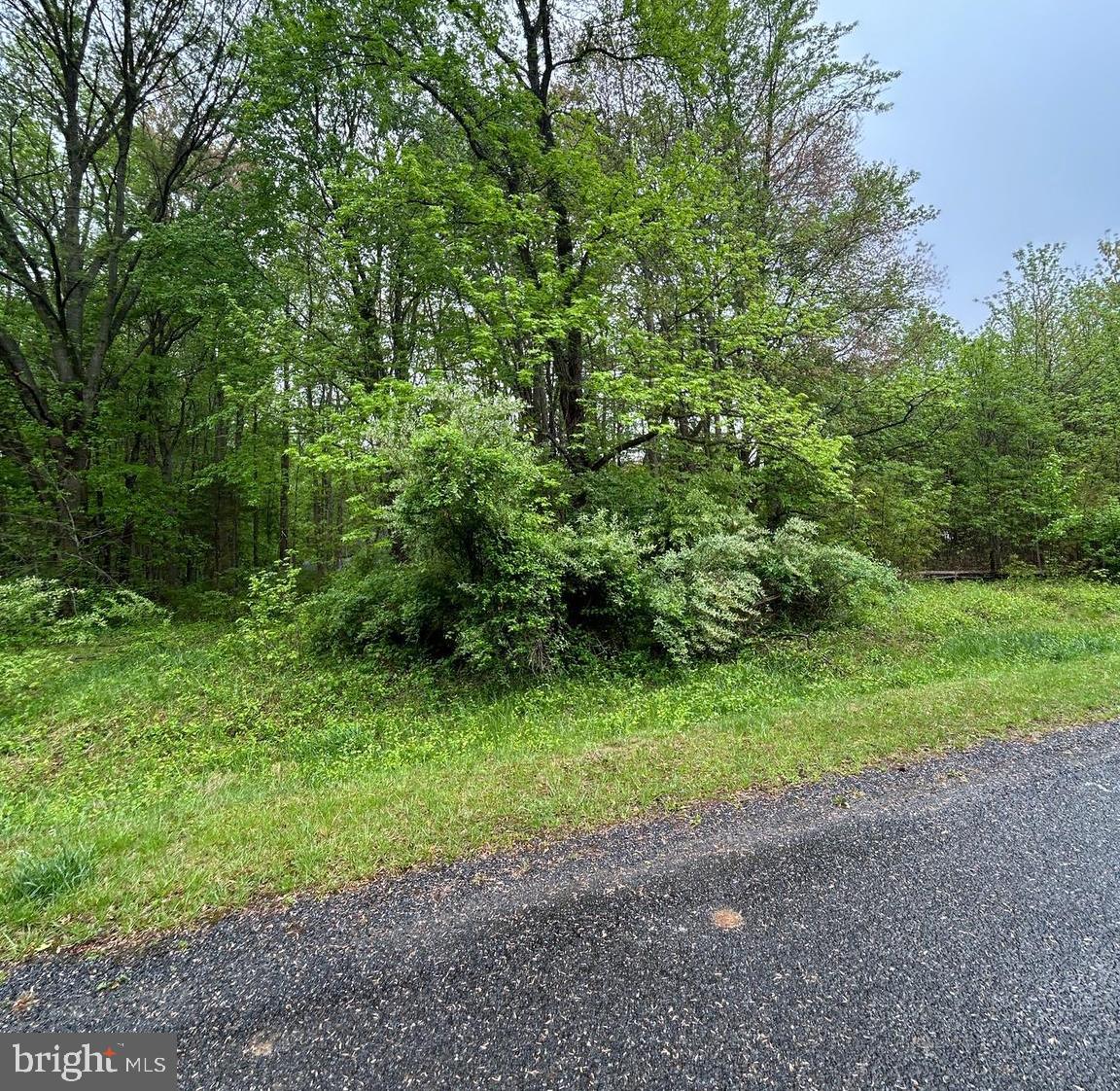 Kinglet Rd