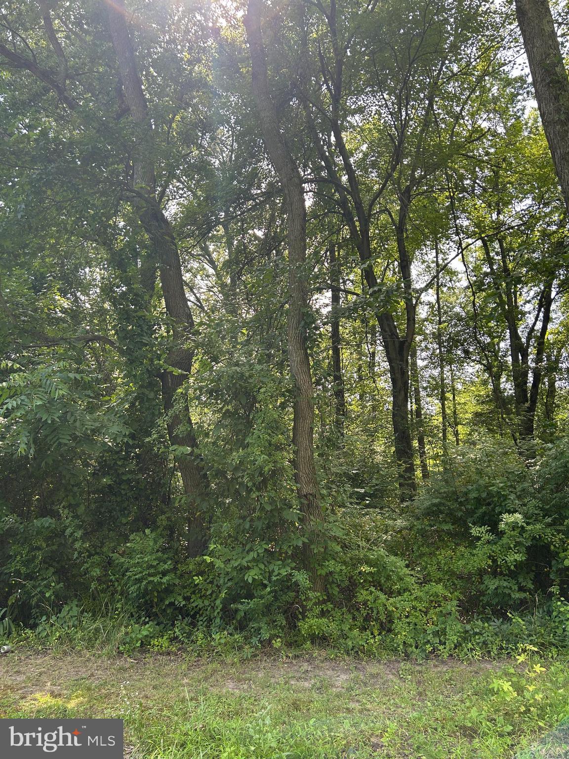 Chesterville Forest Rd #Parcel 60