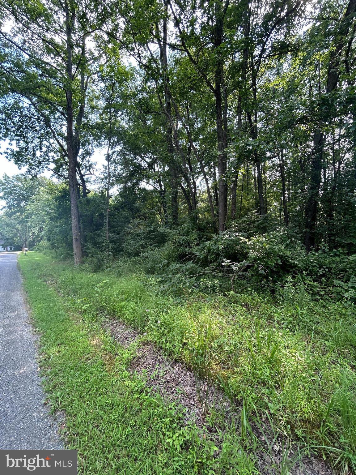 Chesterville Forest Rd #Parcel 60