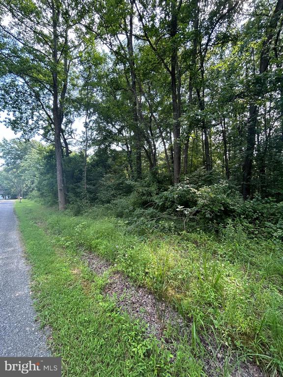 Chesterville Forest Rd #Parcel 60