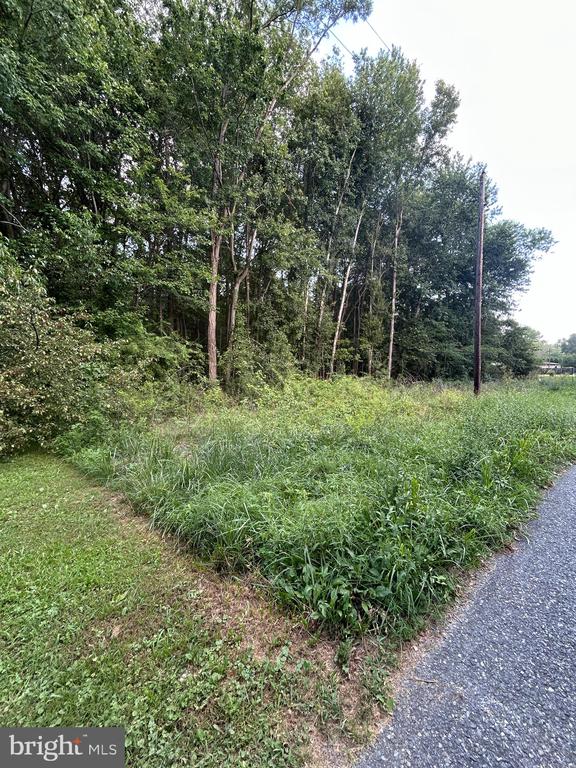 Chesterville Forest Rd #Parcel 84a