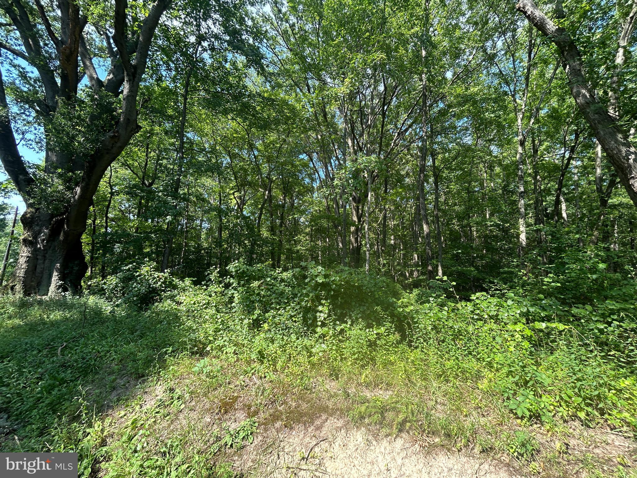 Chesterville Forest Rd #Parcel 73