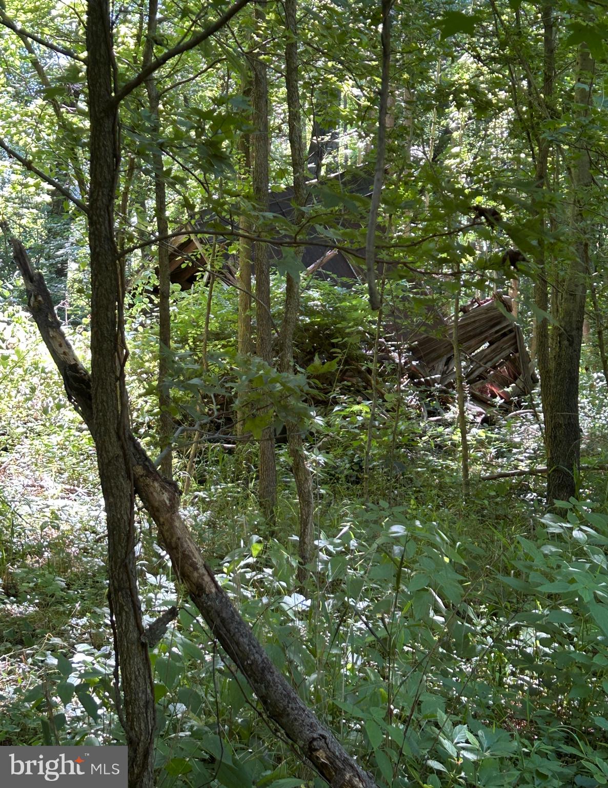 22681 WOOD YARD LANE