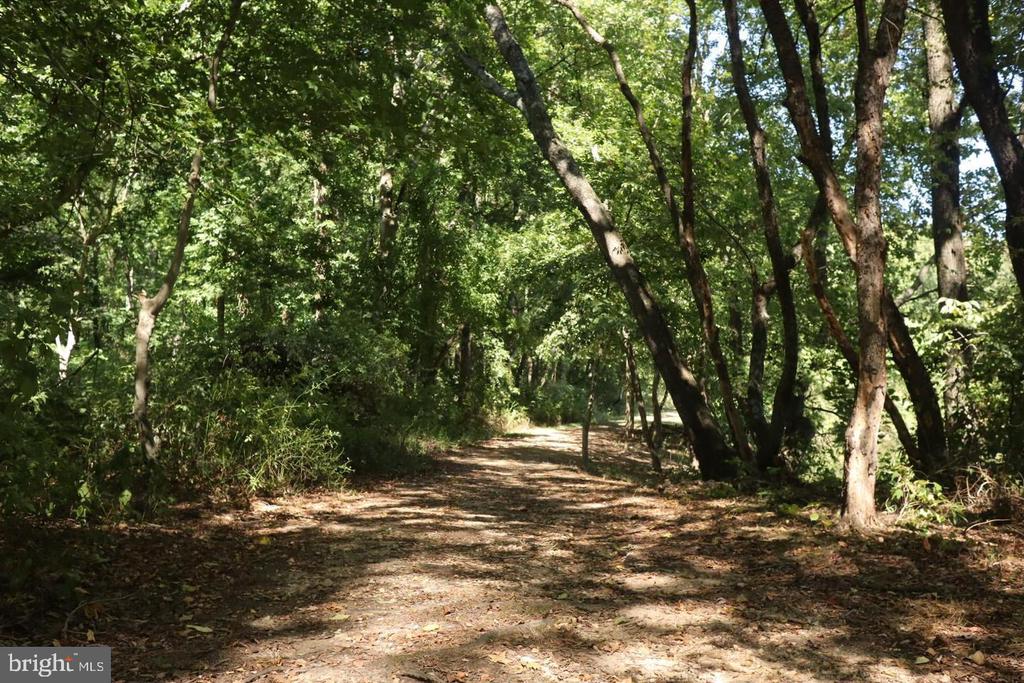 SANDPIPER ROAD
