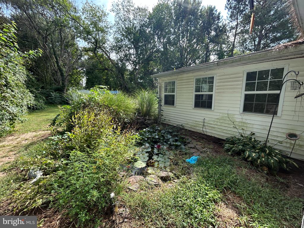 223 MOUNT VERNON AVENUE