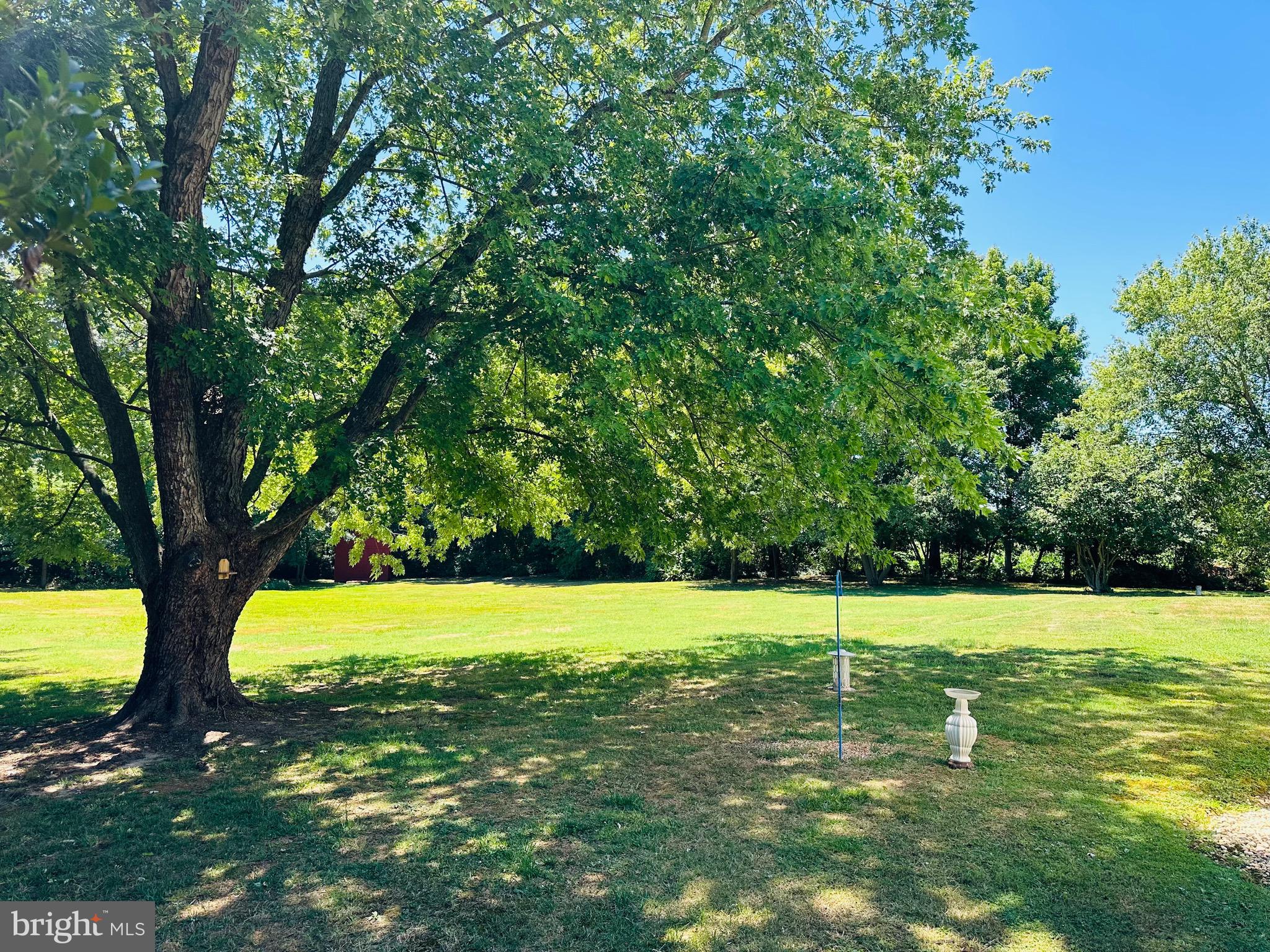 216 Flat Iron Square Rd