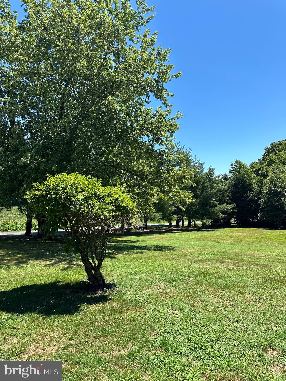 216 Flat Iron Square Rd