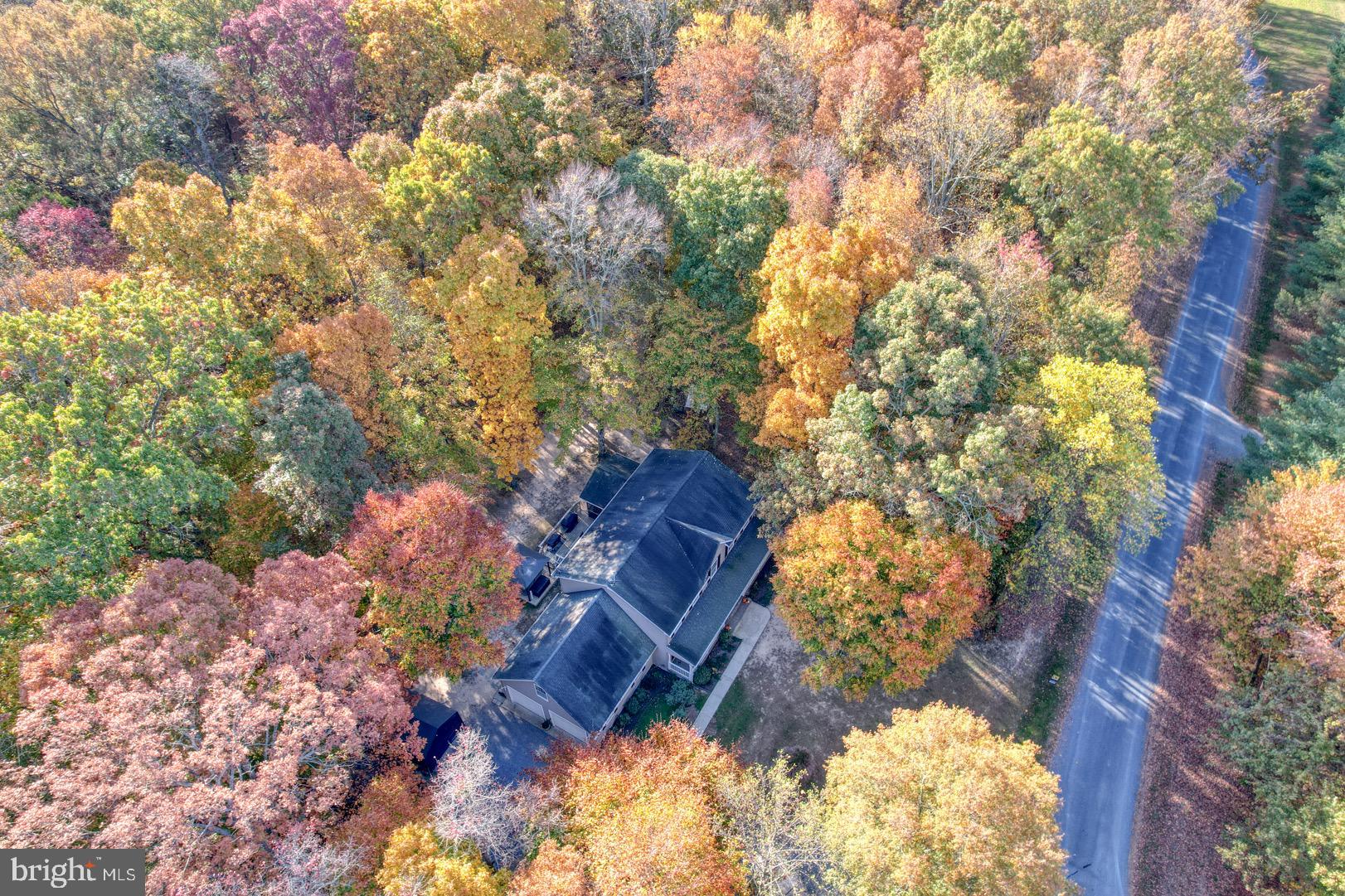 116 Solitude Ln