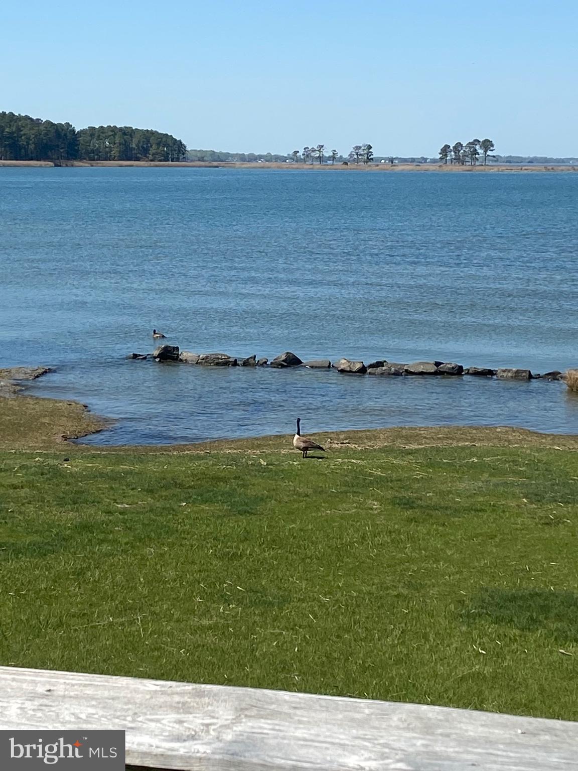 321-3 PINEY NARROWS RD