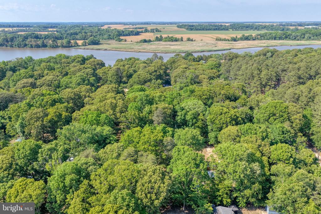 240 MERGANSER DRIVE