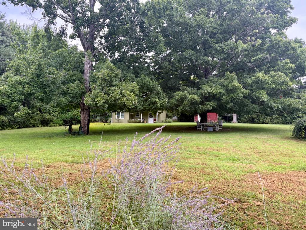161 GREENWOOD CREEK ROAD