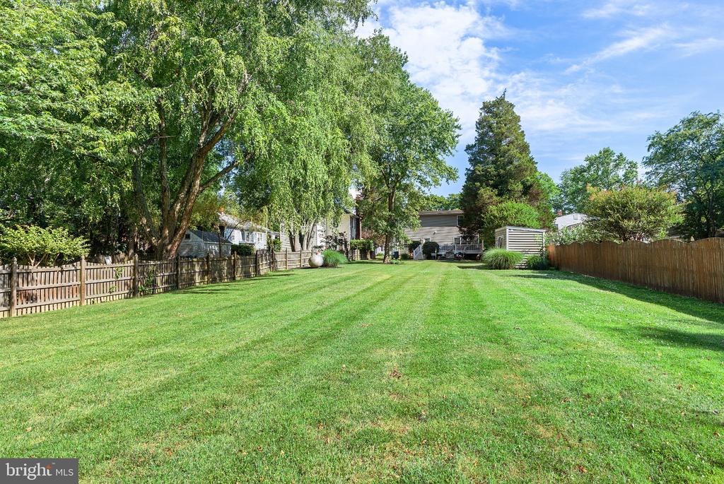 214 BELVEDERE AVENUE