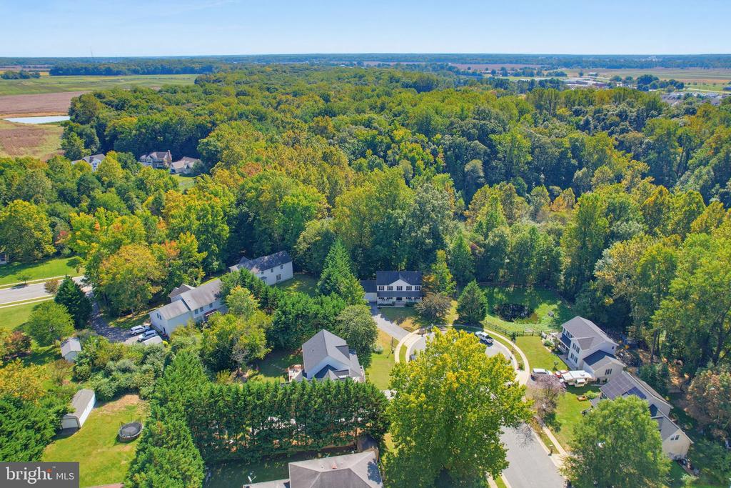225 AUTUMN LANE
