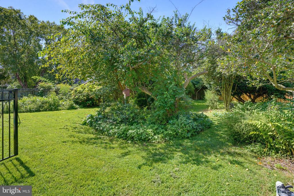 403 CHESTERFIELD AVENUE