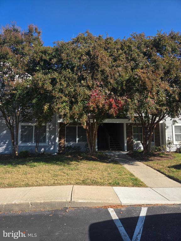 411 MERGANSER COURT