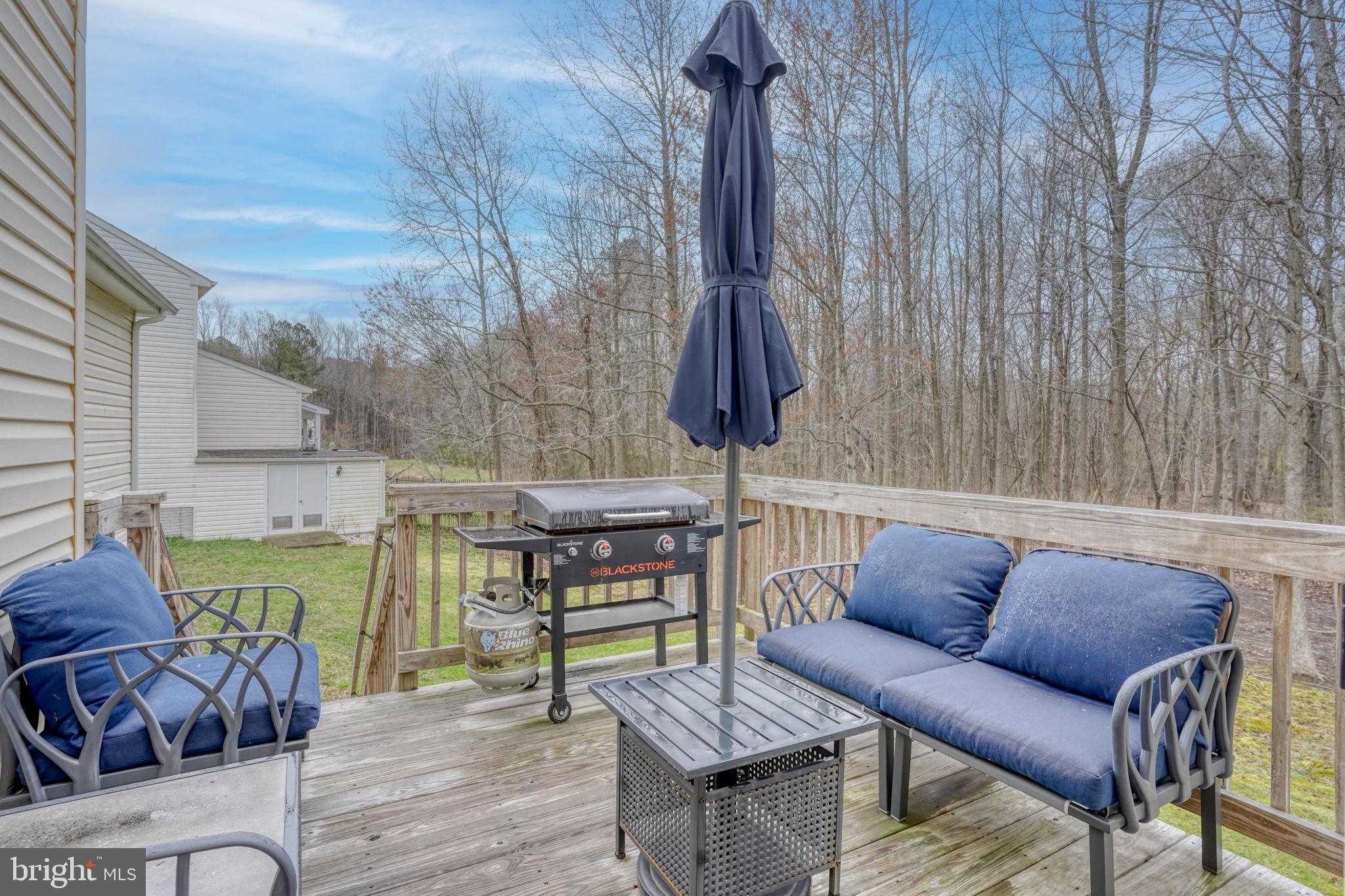 29809 CAPTAIN ADAMOUSKI STREET 15A