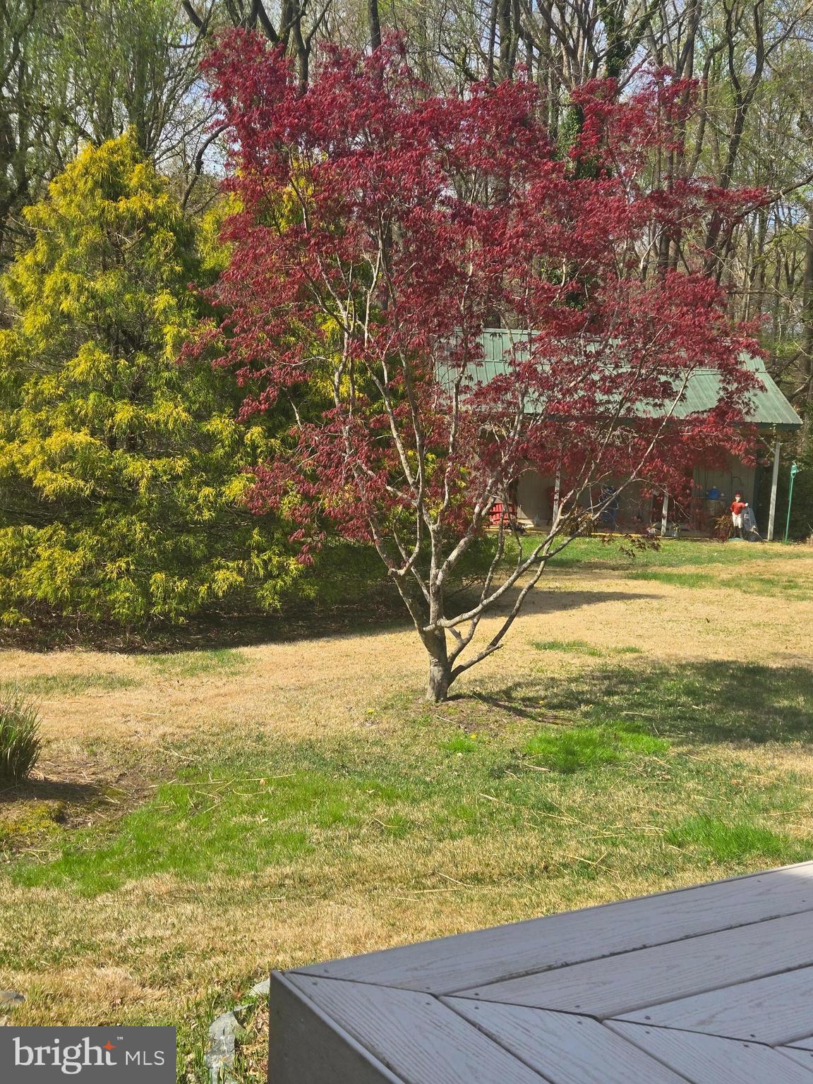 8780 MARSH VIEW ROAD