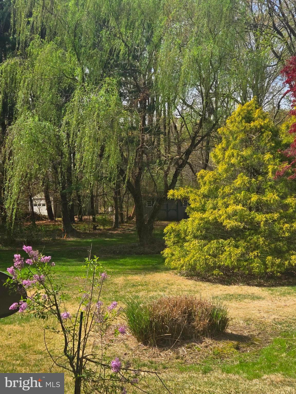 8780 MARSH VIEW ROAD