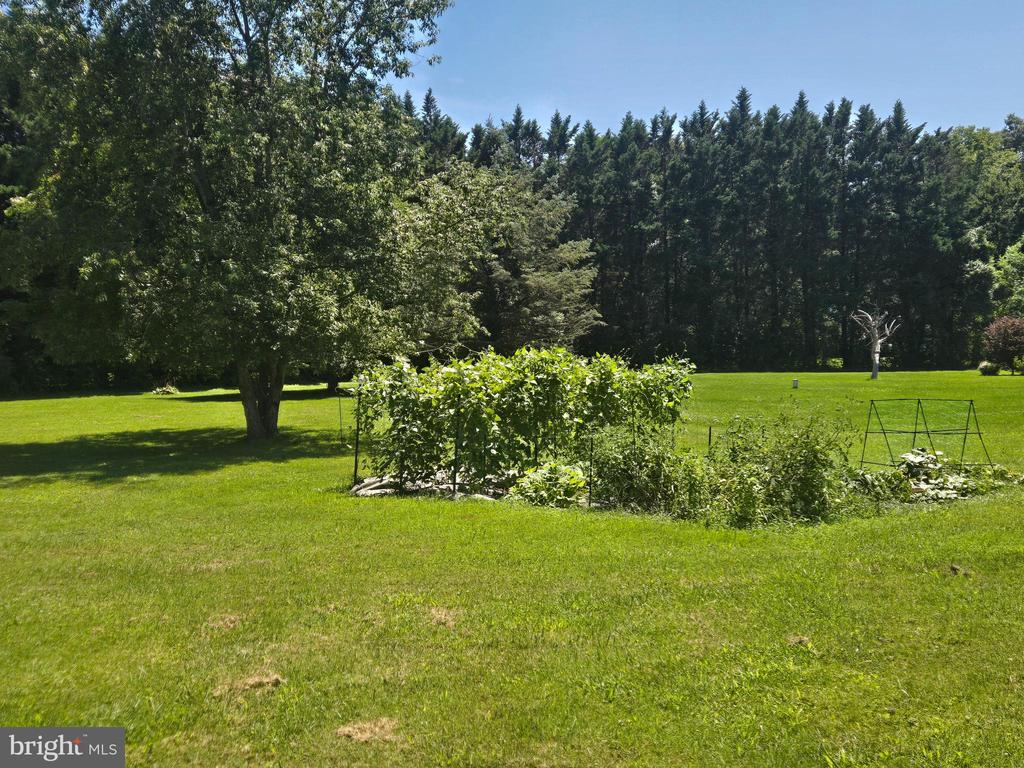 12690 PEACH LANE