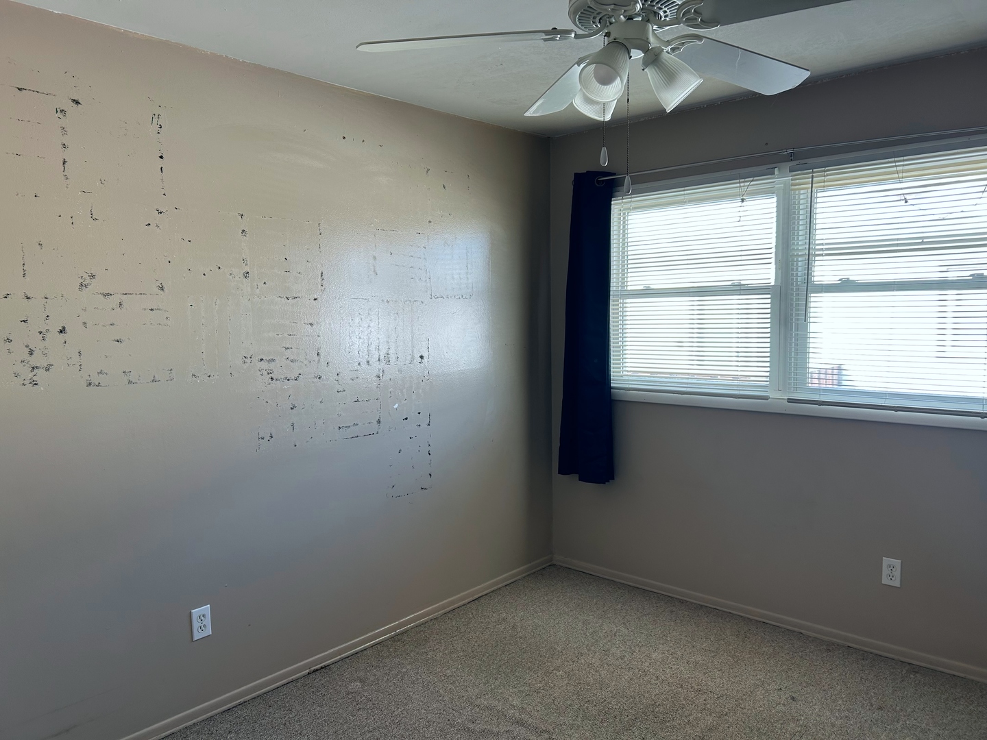 19539 116th Avenue Unit: B