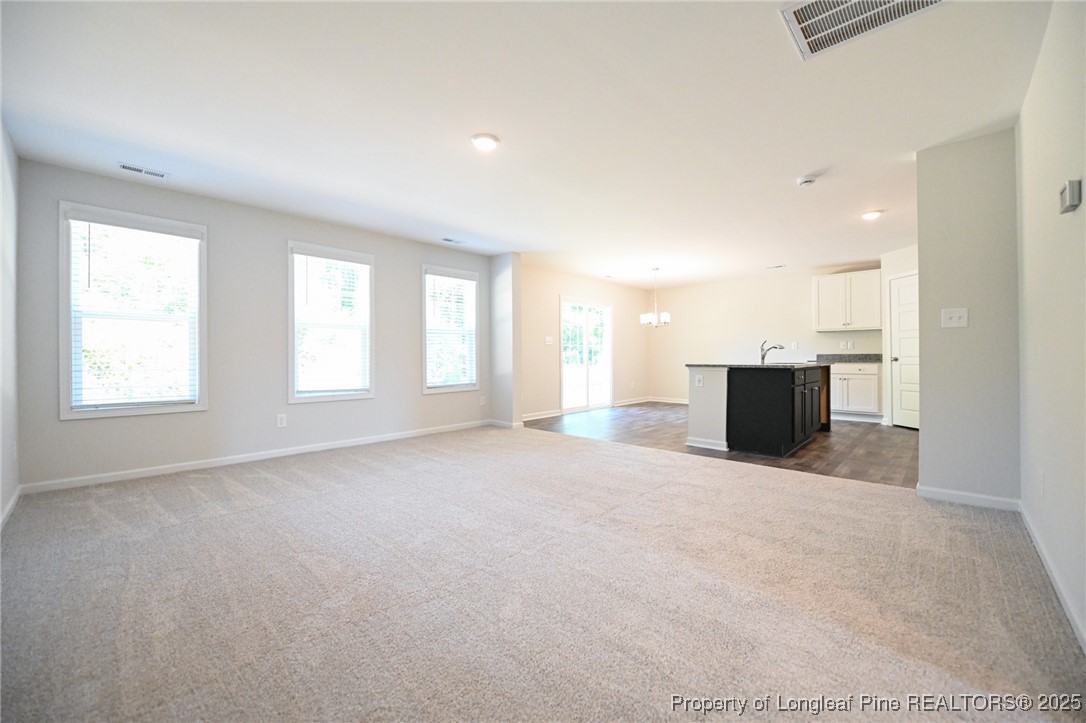 2009 Black Bear Court