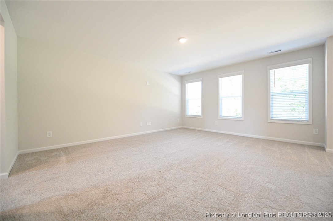 2009 Black Bear Court