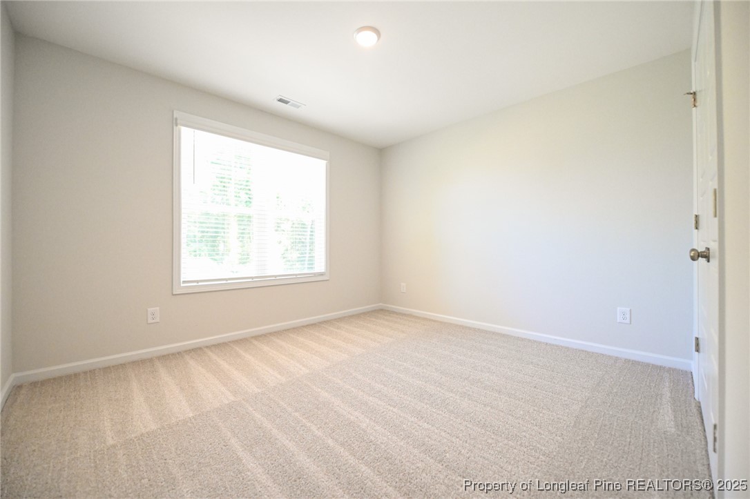 2009 Black Bear Court