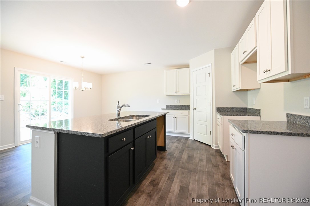 2009 Black Bear Court