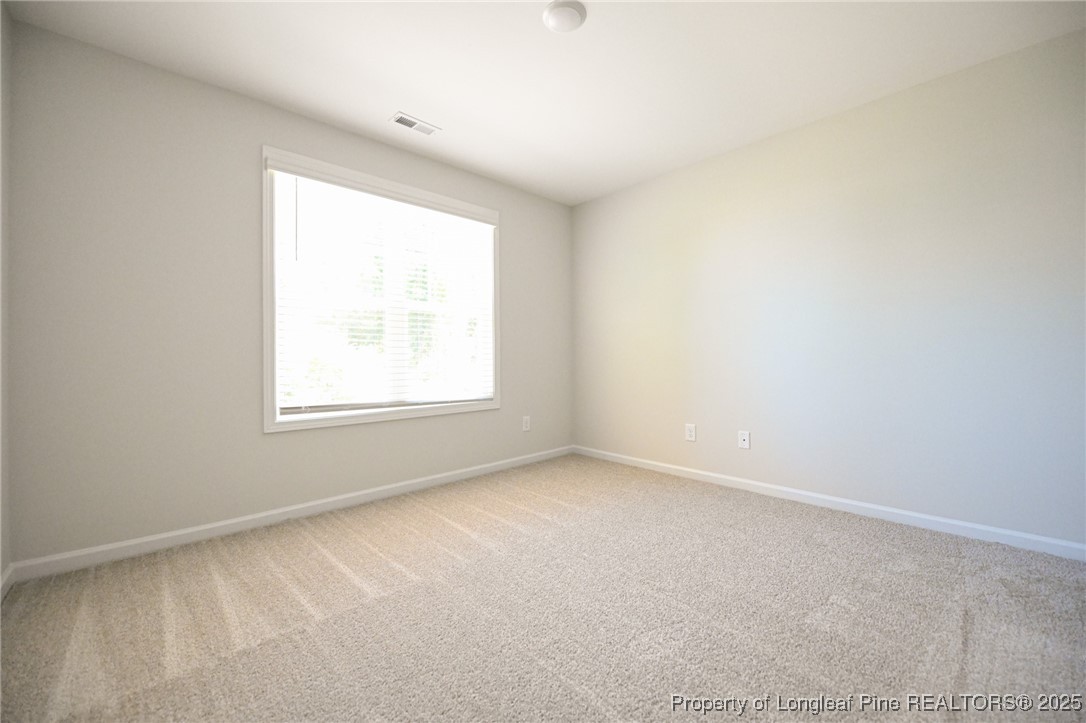 2009 Black Bear Court