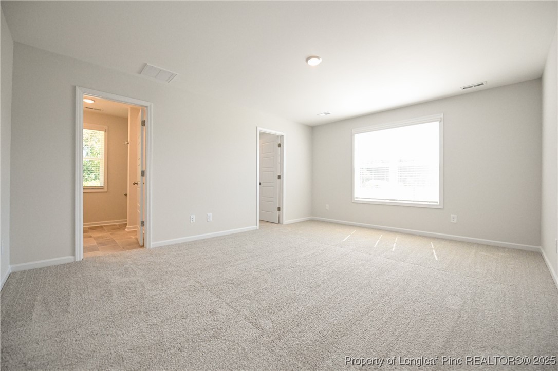 2009 Black Bear Court