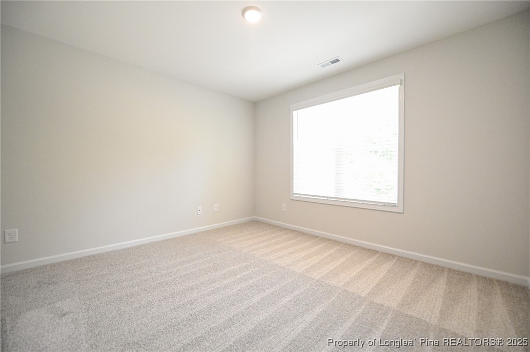 2009 Black Bear Court