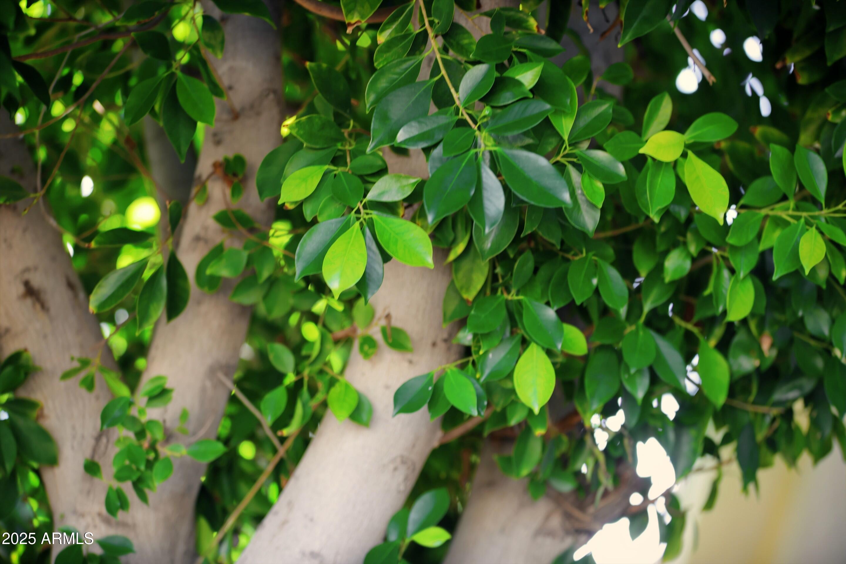 7054 W PONTIAC Drive