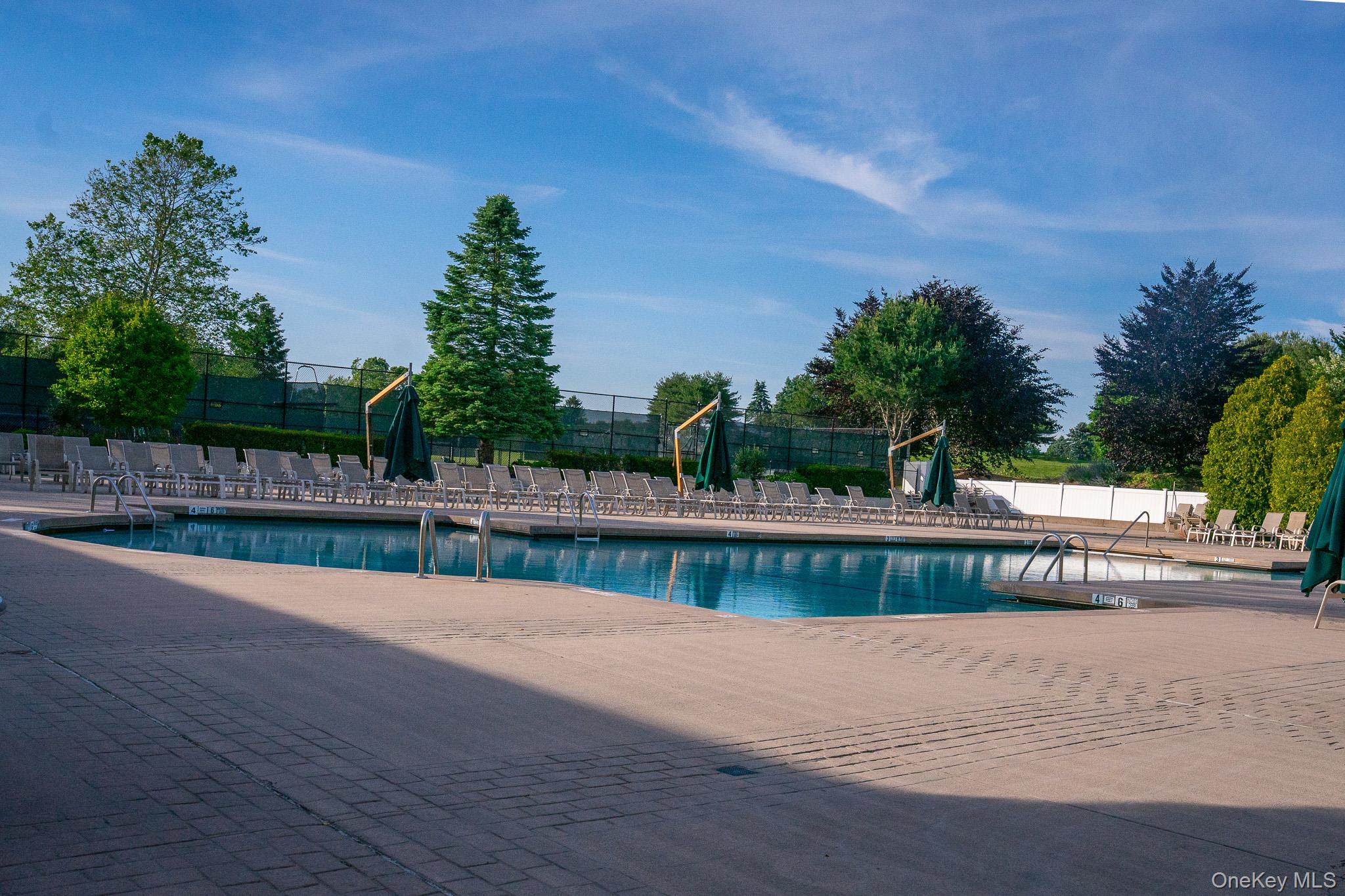 1165 Savoy Drive