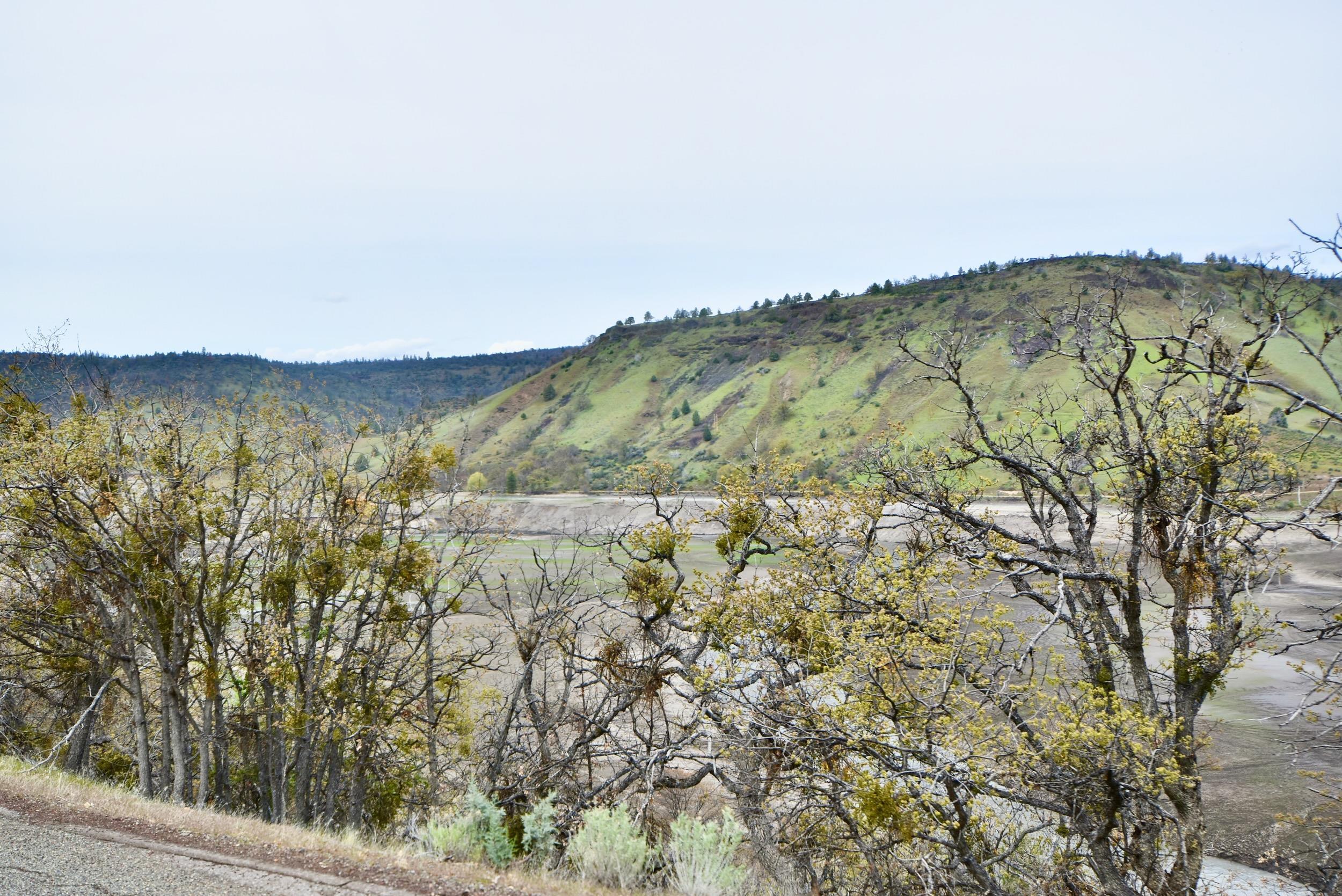 Lot 16 Patricia Ave.