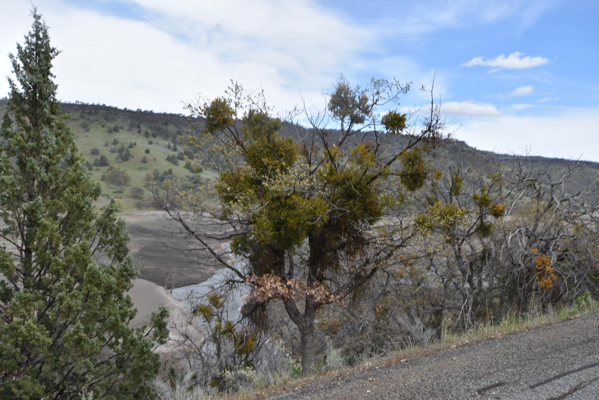 Lot 17 Patricia Ave.