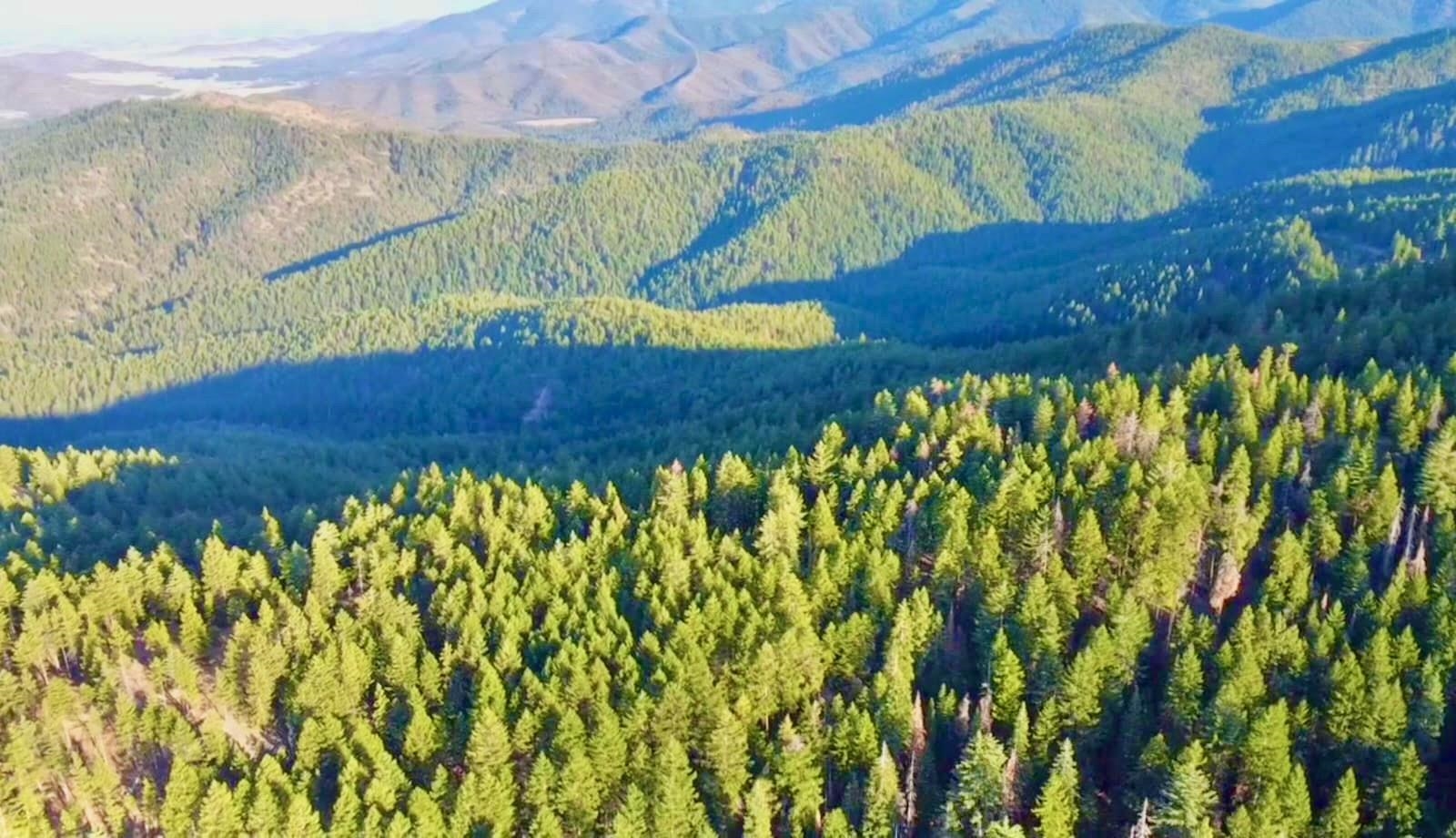 XX Mill Creek Road