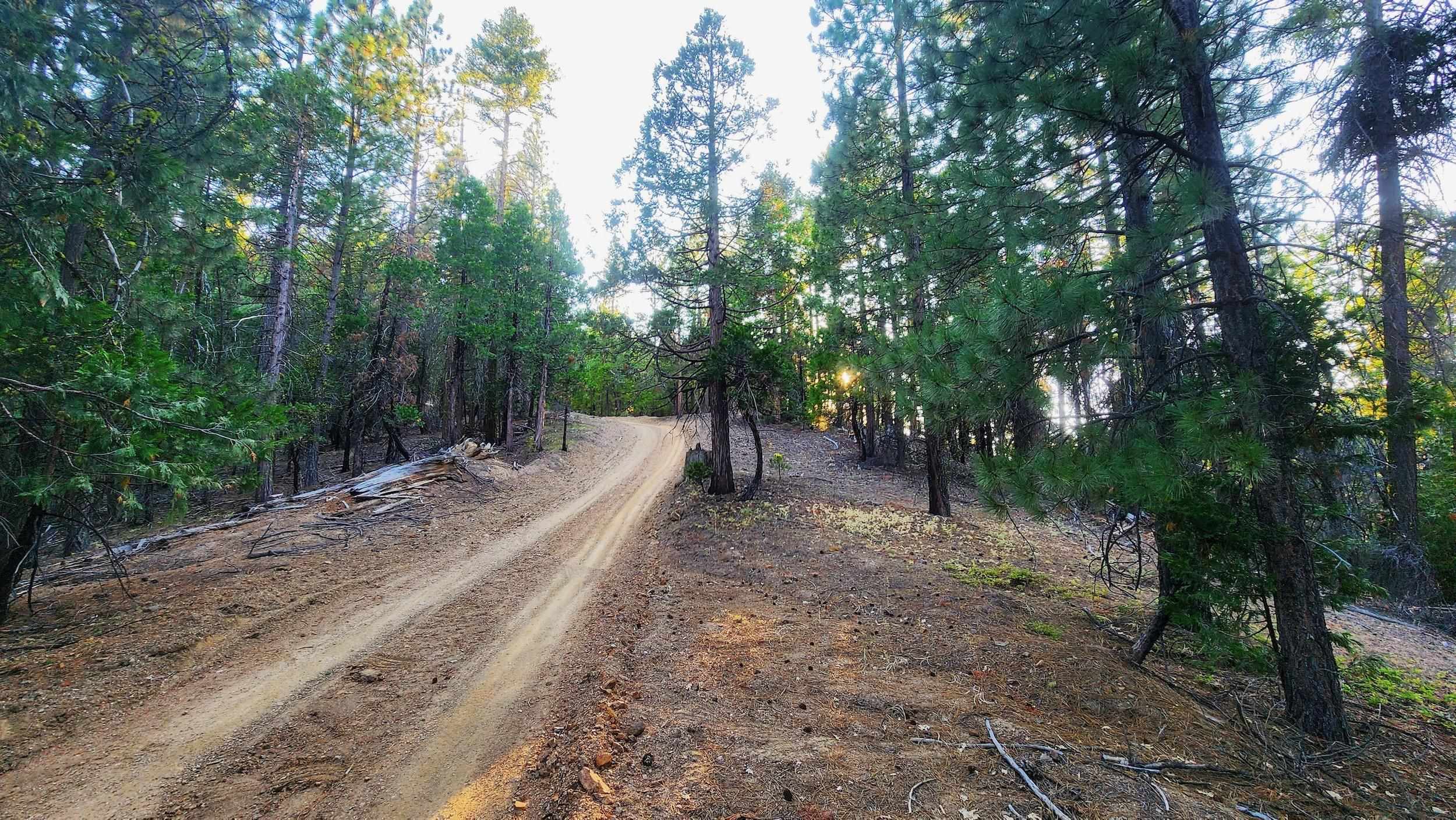 XX Mill Creek Road
