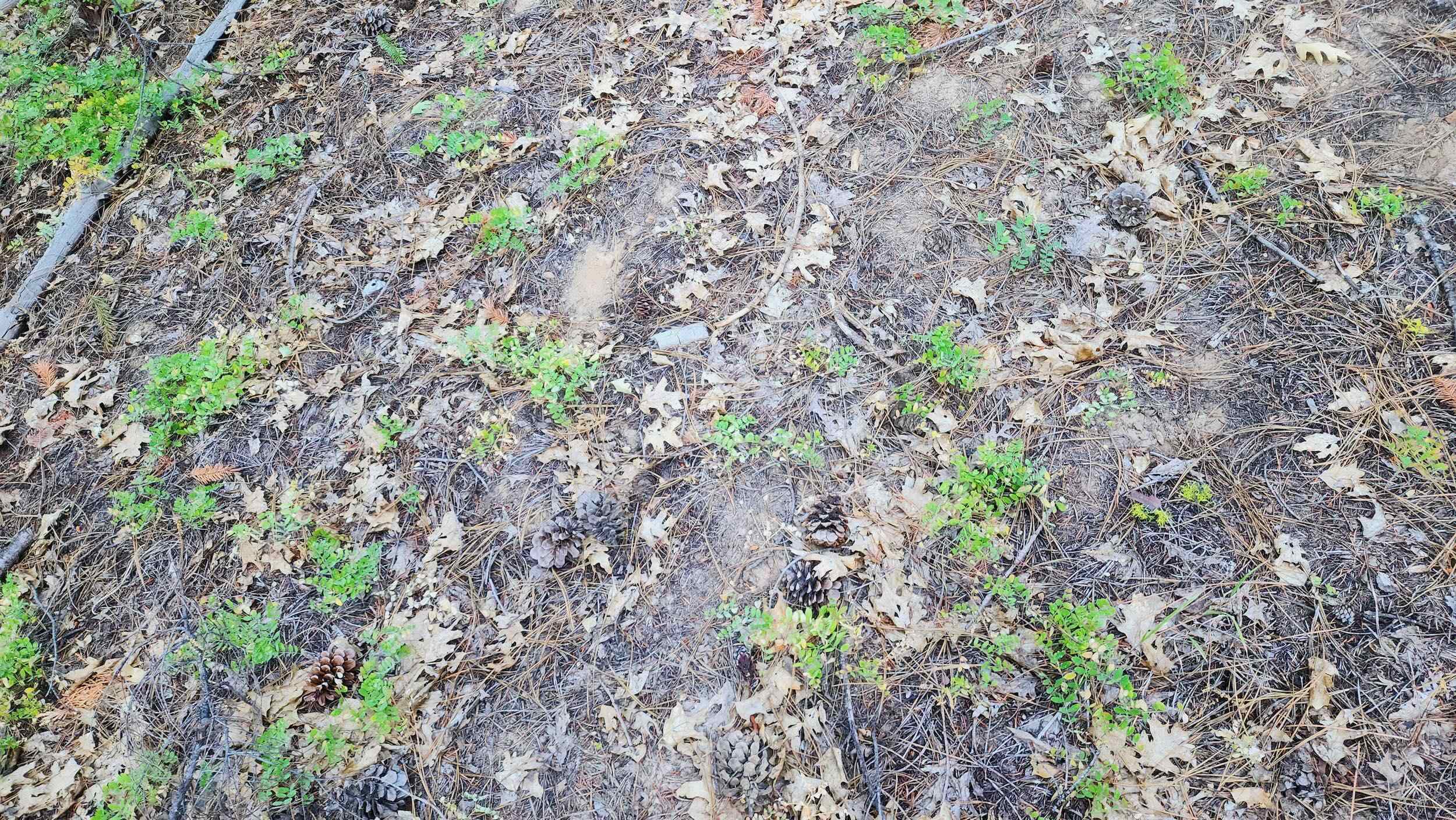 XX Mill Creek Road