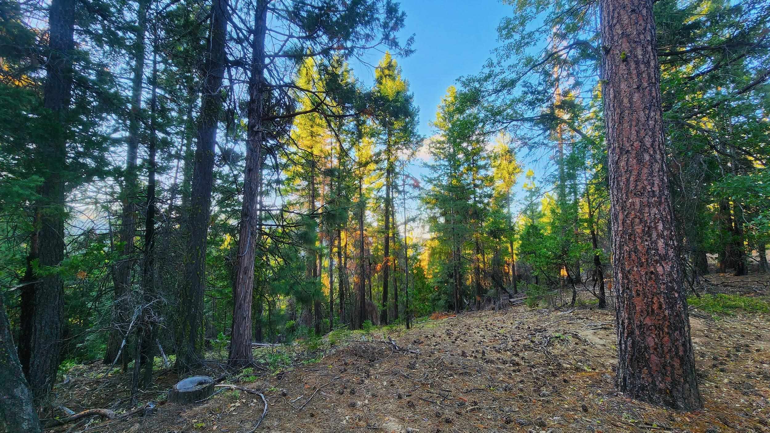 XX Mill Creek Road