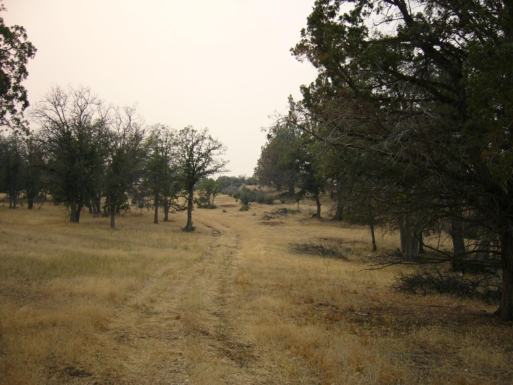 Moonfish Dr. 6.59 acres