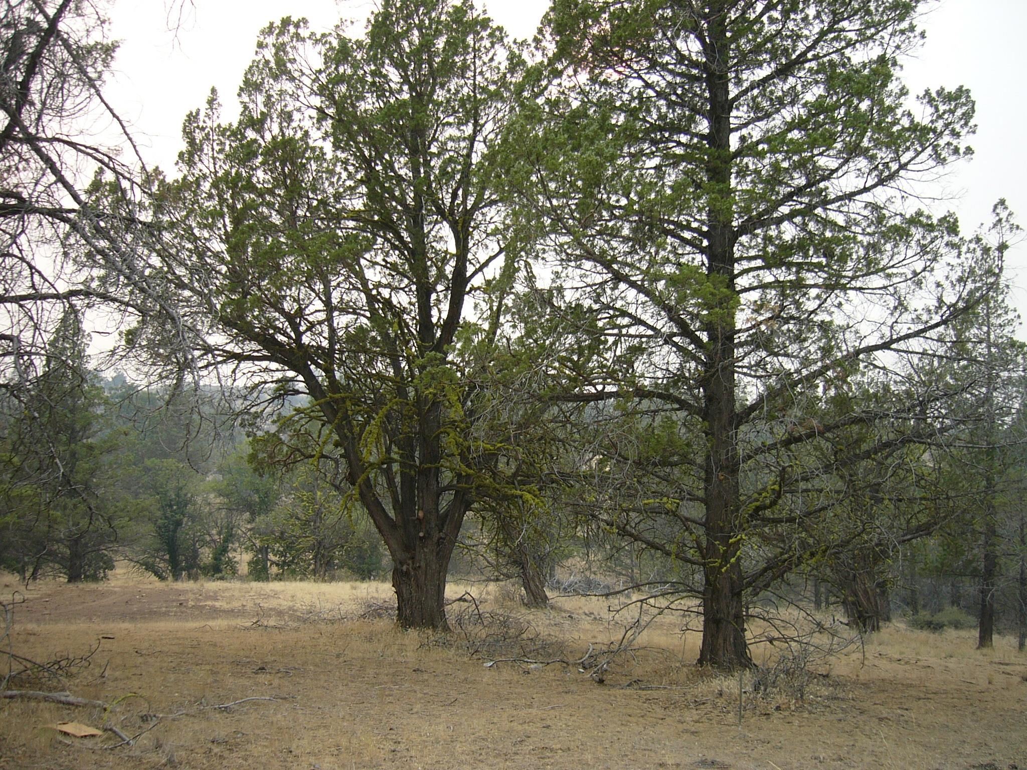 Moonfish Dr. 6.59 acres